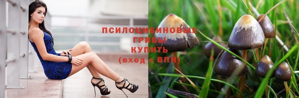каннабис Нефтекумск