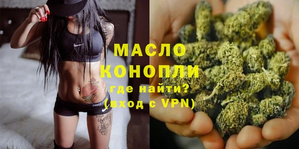 молекула духа Надым