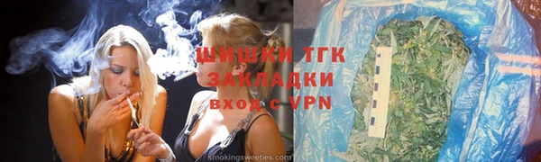 шишки Нея